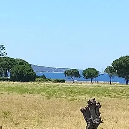 Du Mas